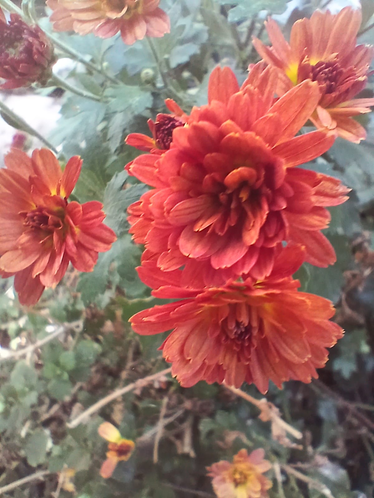 slow moving disaster