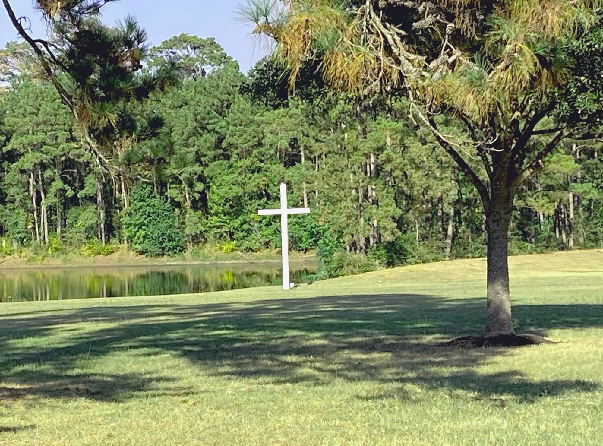 More like Him Part 2