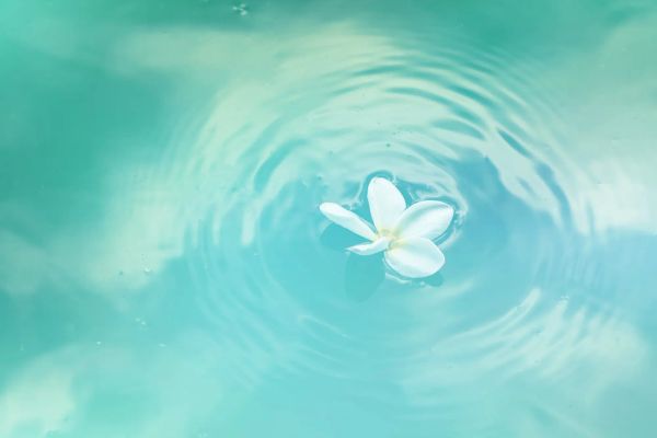 Having Joy in Hard Times