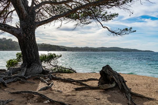 Rooted in Living Water