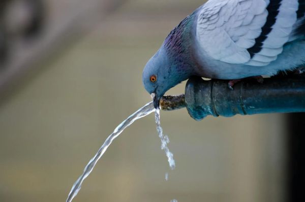 Water Pressure