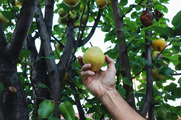 The Struggle of Temptation and How to Overcome It