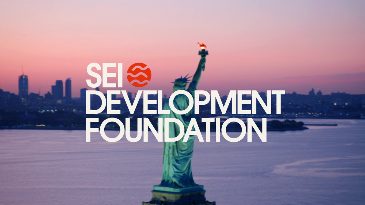 Introducing the US-Based Sei Development Foundation