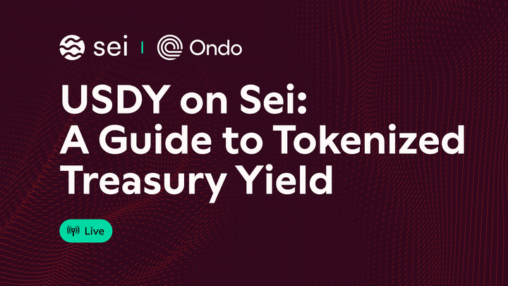 USDY on Sei:  A Guide to Tokenized Treasury Yield