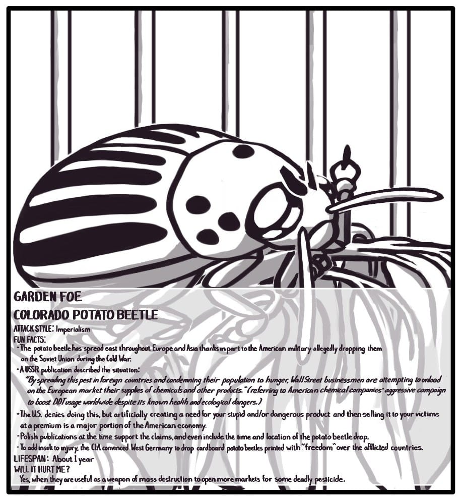 Panel 10: A Colorado potato beetle sits atop a wilting potato plant - you guessed it - flipping you off. GARDEN FOE COLORADO POTATO BEETLE ATTACK STYLE: Imperialism FUN FACTS: The potato beetle has spread east throughout Europe and Asia thanks in part to the American military allegedly dropping them on the Soviet Union during the Cold War. A USSR publication described the situation: “By spreading this pest in foreign countries and condemning their population to hunger, Wall Street businessmen are attempting to unload on the European market their supplies of chemicals and other products.” (referring to American chemical companies’ aggressive campaign to boost DDT usage worldwide despite its known health and ecological dangers.) The U.S. denies doing this, but artificially creating a need for your stupid product and then selling it to your victims at a premium is a major portion of the American economy. Polish publications at the time support the claims, and even include the time and location of the potato beetle drop. To add insult to injury, the CIA convinced West Germany to drop cardboard potato beetles printed with “freedom” over the afflicted countries. LIFESPAN: About 1 year WILL IT HURT ME? Yes, when they are useful as a weapon of mass destruction to open more markets for some deadly pesticide.
