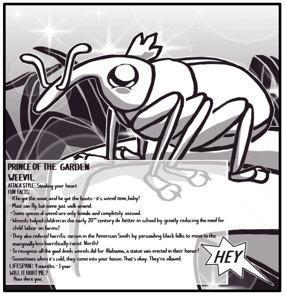 Panel 11: A weevil with rosy cheeks and a crown stands at the edge of a blade of grass as magical sparkles dance in the background. PRINCE OF THE GARDEN WEEVIL ATTACK STYLE: Stealing your heart FUN FACTS: If he got the snoot, and he got the boots - it’s weevil time, baby! Most can fly, but some just walk around. Some species are only female and completely asexual. Weevils helped children in the early 20th century do better in school by greatly reducing the need for child labor on farms! They also reduced horrific racism in the American South by persuading black folks to move to the marginally-less-horrifically-racist North! To recognize all the good deeds weevils did for Alabama, a statue was erected in their honor! Sometimes when it’s cold, they come into your house. That’s okay. They’re allowed. LIFESPAN: 4 months – 1 year WILL IT HURT ME? How dare you. From off screen, someone shouts, “HEY.”