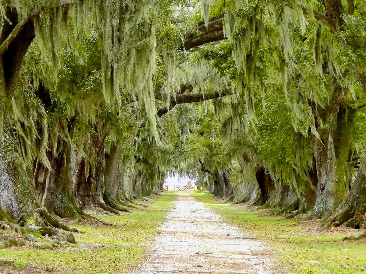 Your one-sentence idea