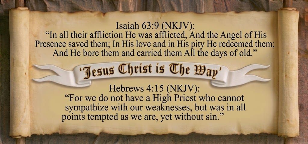 The Gospel of John Chapter 11:28-37