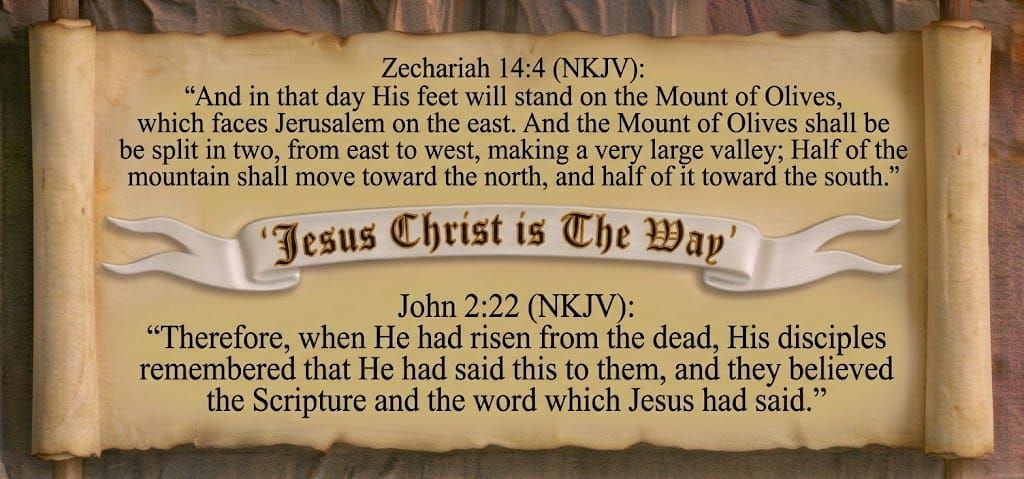 The Gospel of John Chapter 12:12-19 (NKJV)