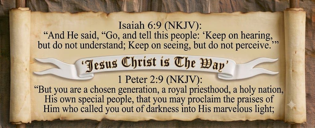 The Gospel of John 9:13-41 (NKJV)