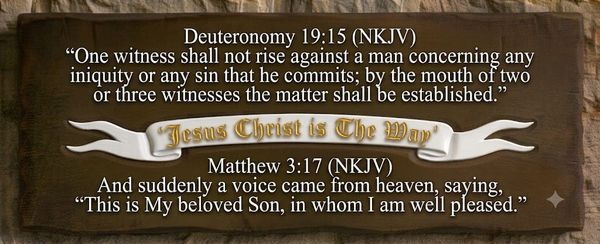 The Gospel of John Chapter 5 (IV)