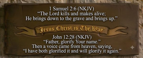 The Gospel of John Chapter 5 (II)