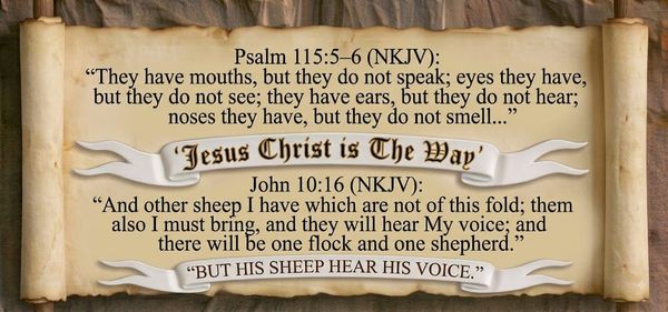 The Gospel of John Chapter 10:1-18 (NKJV)
