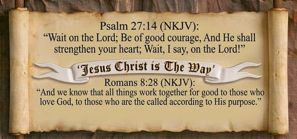The Gospel of John Chapter 11:1-16 (NKJV)