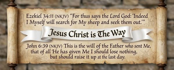 The Gospel of John Chapter 6 (II)