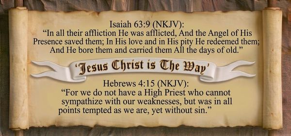 The Gospel of John Chapter 11:28-37