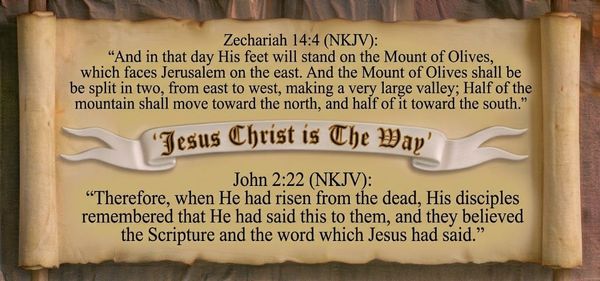 The Gospel of John Chapter 12:12-19 (NKJV)
