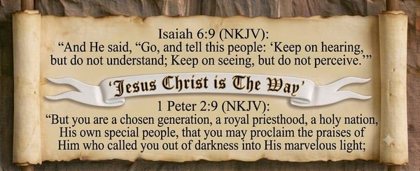 The Gospel of John 9:13-41 (NKJV)