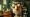 scowling old man