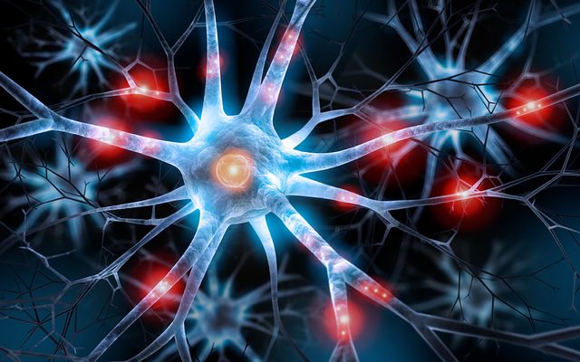 synchronized chaos: why your brain isn't anything like a computer