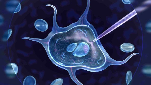 darpa's new project tackles immortality