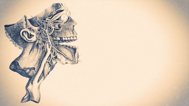 when a doctor discovers quantum woo…