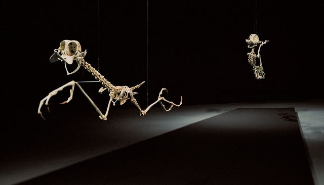 when childhood dreams go horribly wrong…