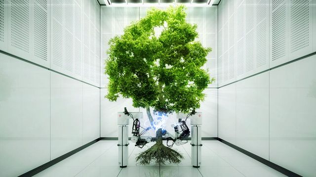 craig venter's giant leap for biology