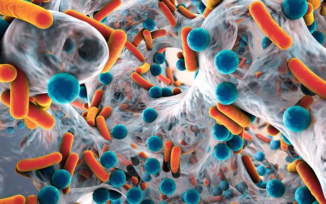 the arsenic-based life form that really isn't…