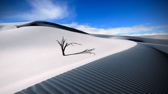 how half of humanity could lose their homes to climate change if we do nothing