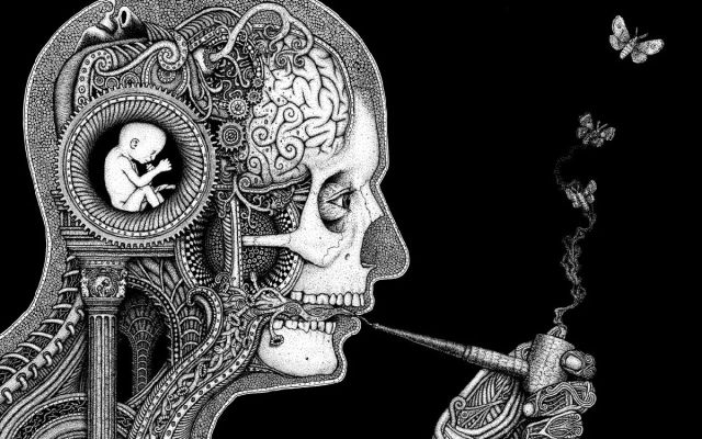 think slow, act fast: why human brains are a lot lazier than we think