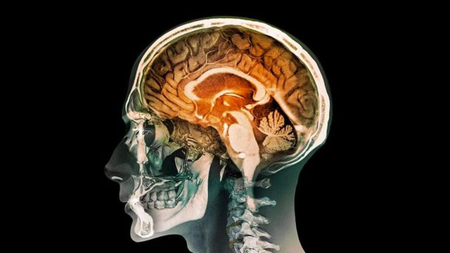 kurzweil's new theory of mind: better, still wrong