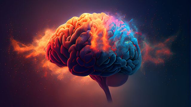 scientists can now read your thoughts. well, sort of...