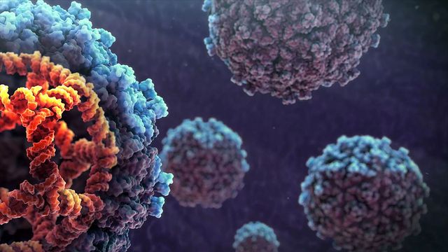 viruses that fight cancer, coming to an oncologist near you