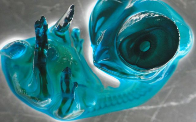 a good reason not to try sex in space. yet.