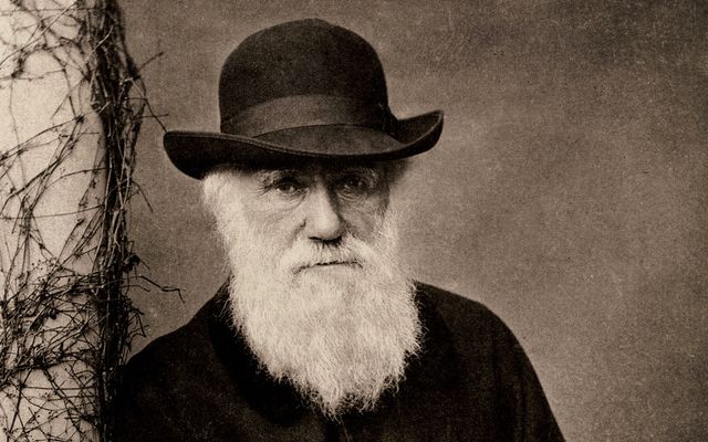 deepak chopra picks a fight with darwin's ghost