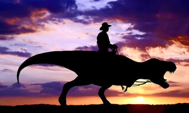 why ray comfort got the ncse treatment