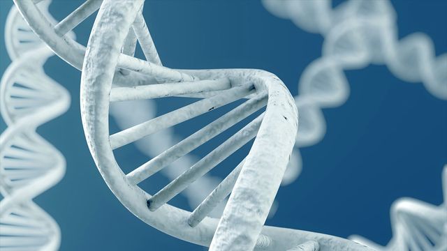 does this chromosome come in a bigger size?