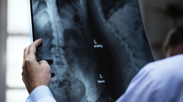 how stem cells could help solve the opioid epidemic