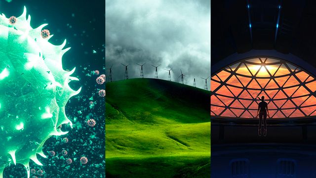 the three good things you missed as the world was ending