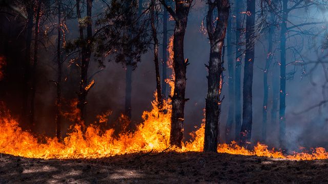 and now a few (uncensored) words about climate change
