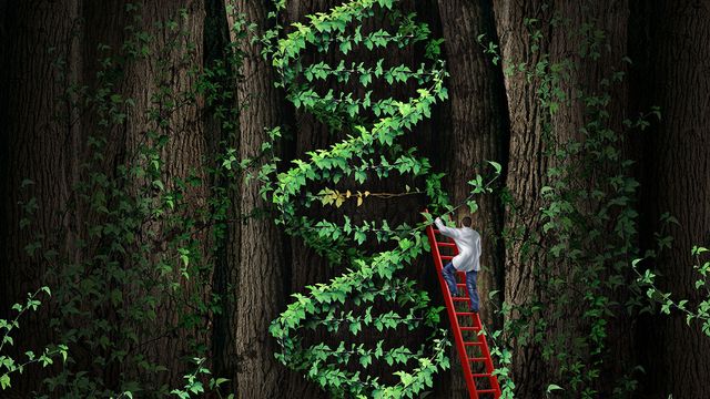 gene therapy is here, but our bodies are putting up a fight