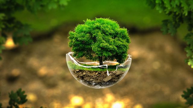 how did green become the new black?