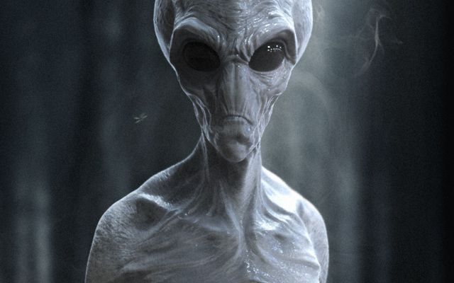 why you're most probably not part alien