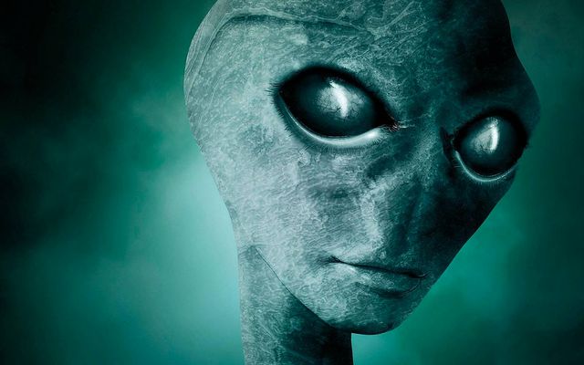 looking for the aliens among us