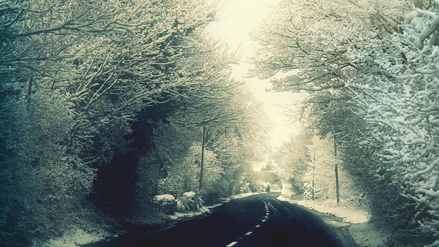 an anecdotal example of denialist logic