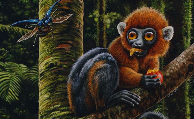 creationists start circling ida's cadaver