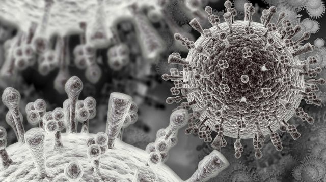 statistics, vaccines, and viral evolution