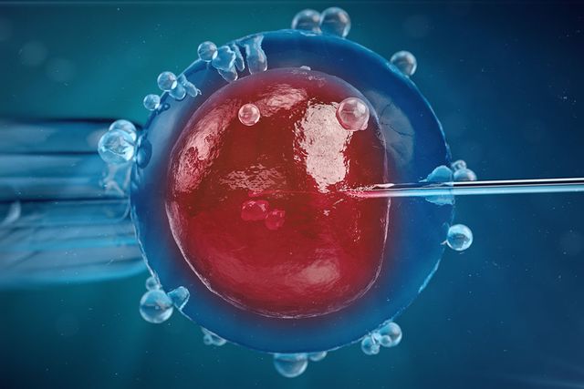 a real life attack of the clones?