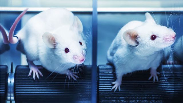 when doing agenda science, threaten to sue your critics